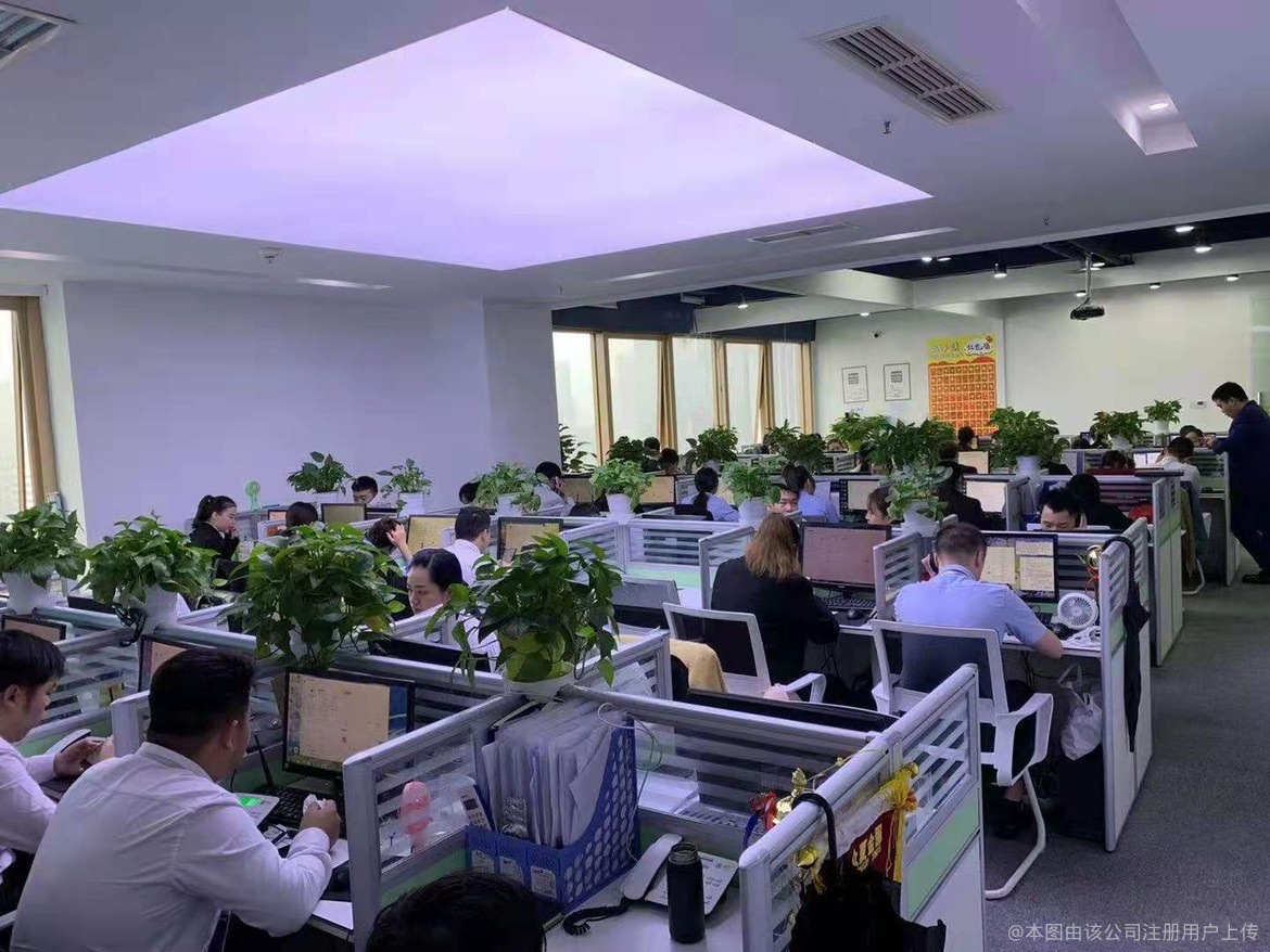 商务信息咨询 企业决策的智慧之眼